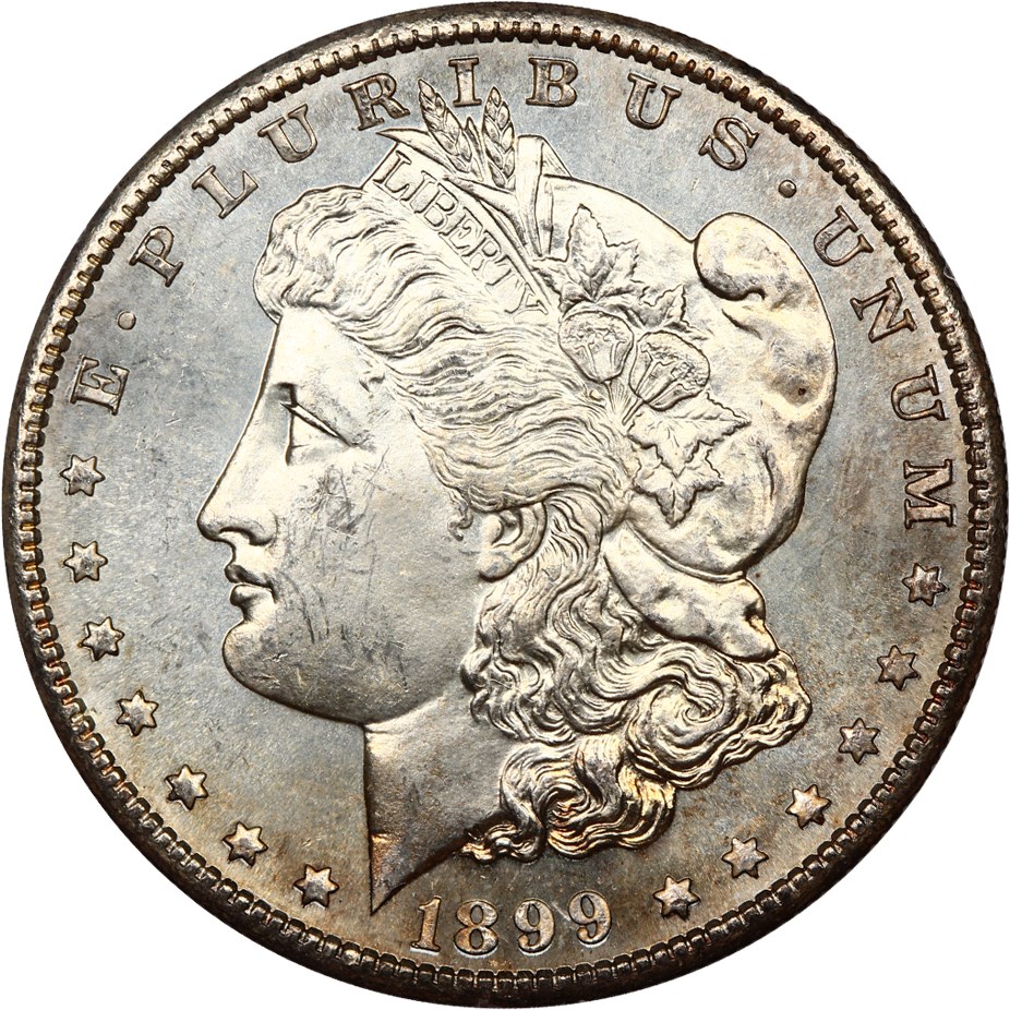 image for: 1899-S $1 PCGS MS64 PL (OGH Rattler Holder)