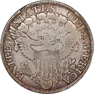 image for: 1799 $1 PCGS F15 (Irregular Date, 15 Stars)