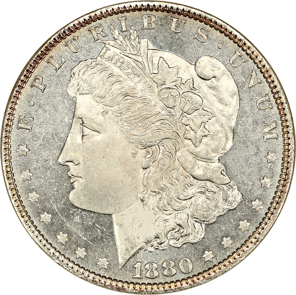image for: 1880 $1 ANACS MS64 DMPL