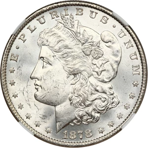 image for: 1878 8TF $1 NGC MS64+ (VAM-17, Diagonal in 8)