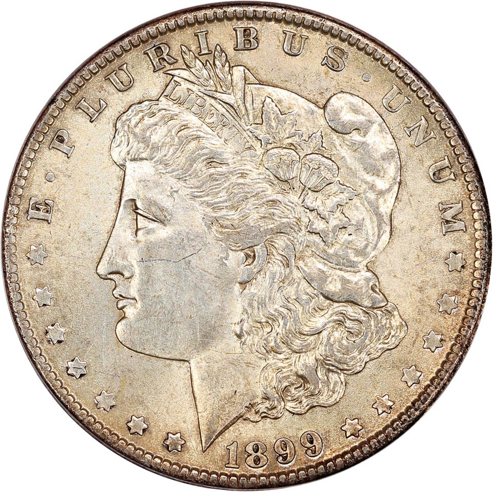 image for: 1899-O $1 ANACS AU58 Details (VAM-25B, Cleaned)