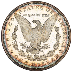 image for: 1882 $1 NGC MS63 DMPL (OH)