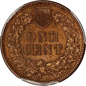 image for: 1876 1c PCGS UNC Details (Cleaned)
