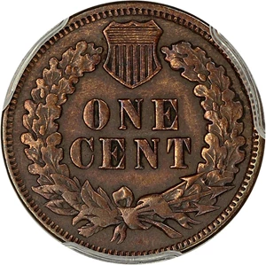 image for: 1876 1c PCGS VF Details (Cleaned)