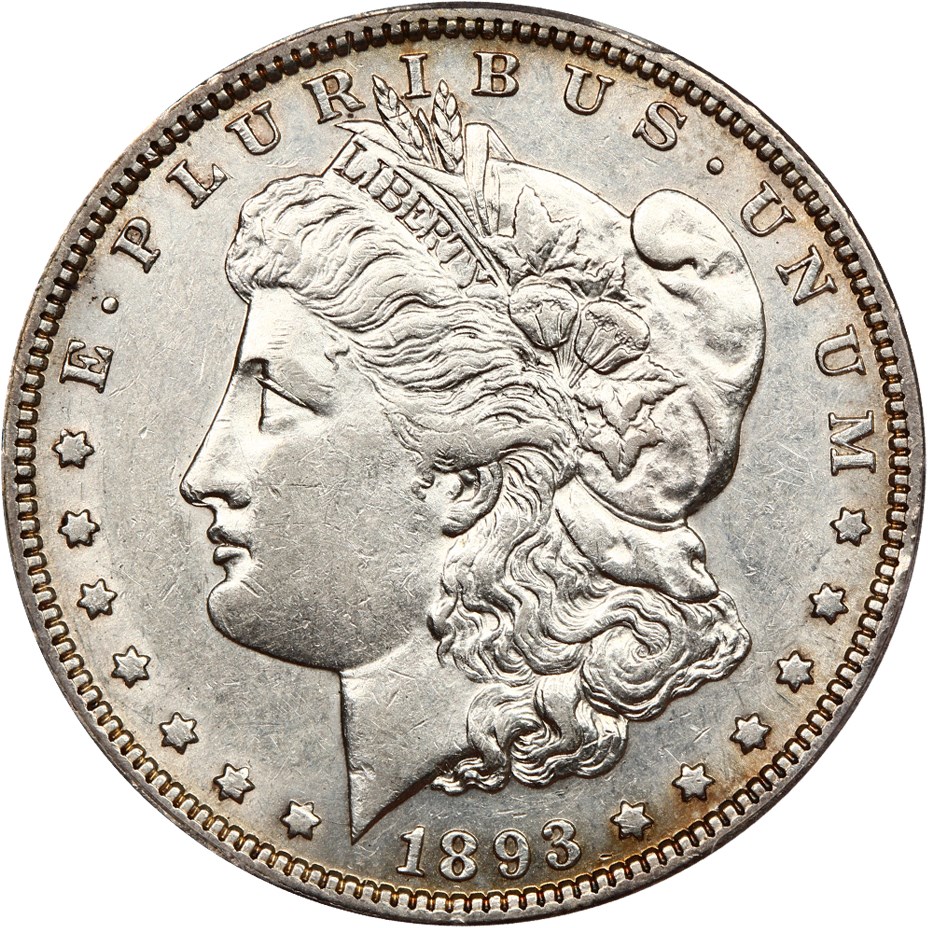 image for: 1893 $1 PCGS AU53 (VAM-4, Doubled Stars)