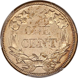 image for: 1858 Flying Eagle 1c PCGS AU Details (Small Letters, Cleaned)
