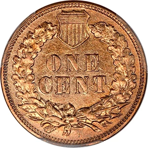 image for: 1876 1c PCGS AU Details (Cleaned)