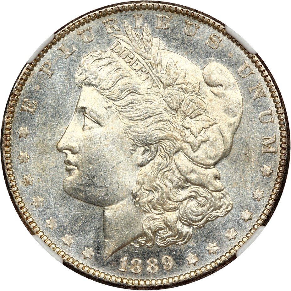 image for: 1889 $1 NGC MS63 PL