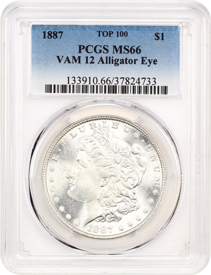 1887 Morgan Dollar Alligator Eye VAM 12 Coin Pricing Guide | The