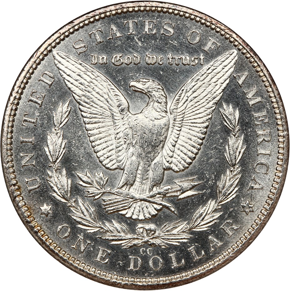 image for: 1893-CC $1 NGC MS61 PL