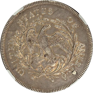 image for: 1796 $1 NGC XF45 (Large Date, Small Letters)