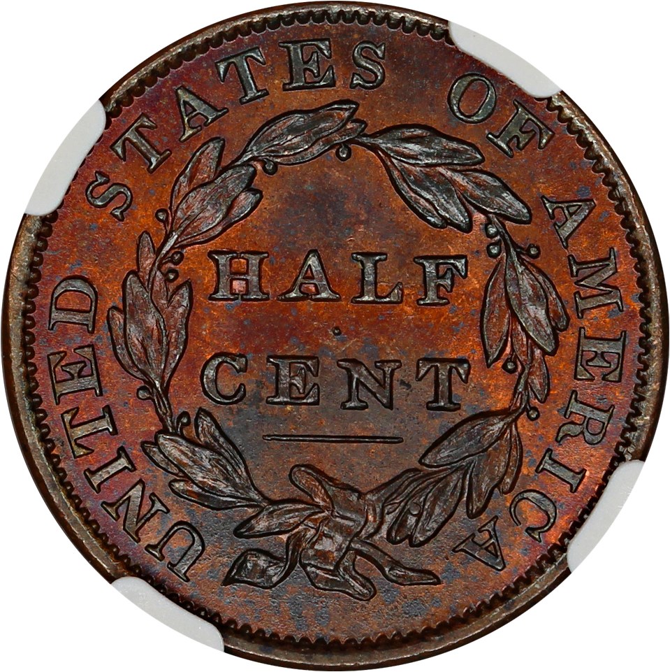 image for: 1834 1/2c NGC MS61 RB (C-1)