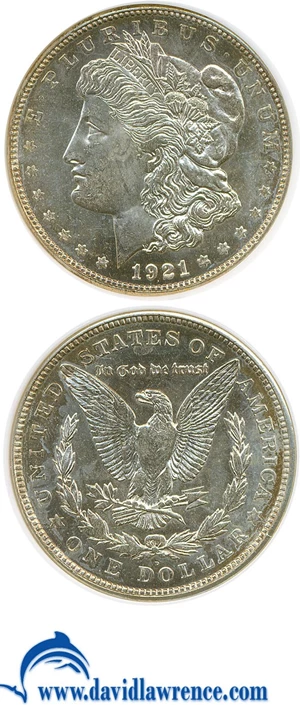 image for: 1921-D $1 NGC MS64 DMPL