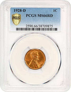 image for: 1928-D 1c PCGS MS66 RD