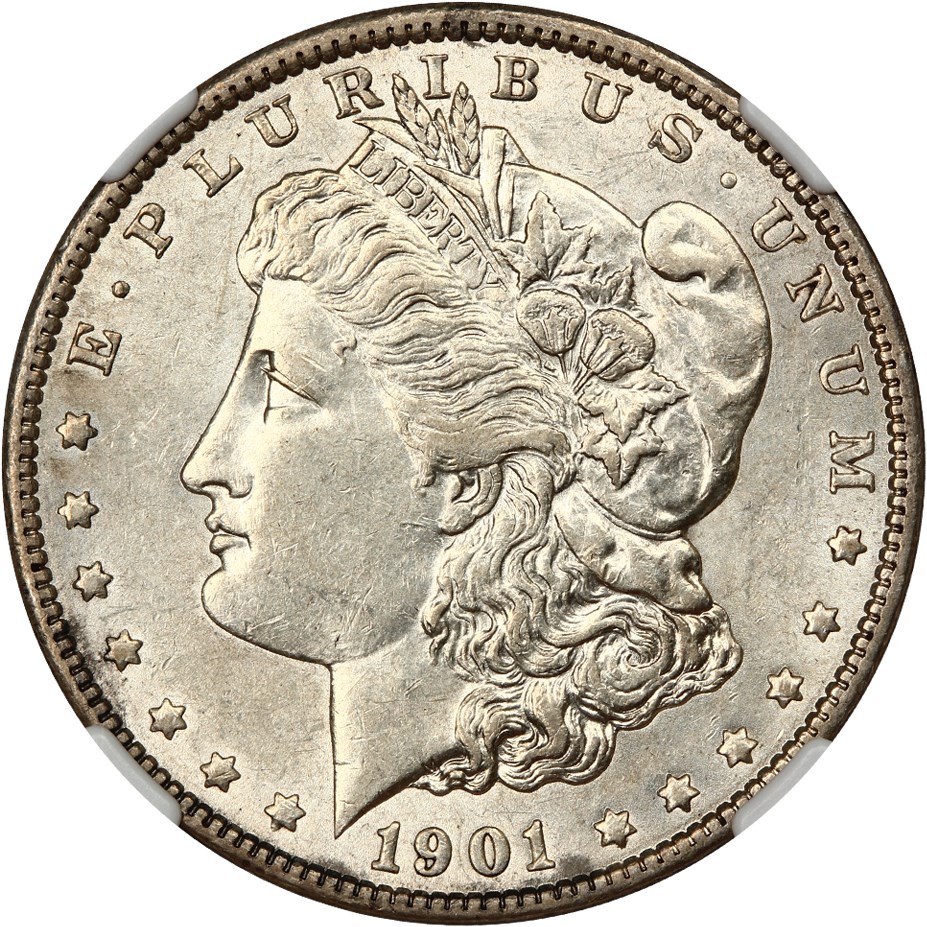image for: 1901 $1 NGC AU53 (DDR Feathers, VAM-3)