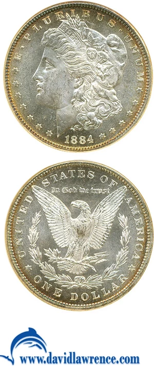 image for: 1884 $1 NGC MS65 DMPL