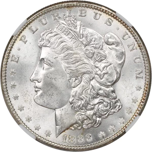 image for: 1888 $1 NGC MS64