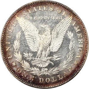 image for: 1878 7/8TF $1 NGC MS64 DMPL (OH)