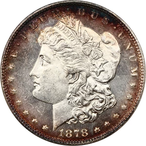 image for: 1878 7/8TF $1 NGC MS64 DMPL (OH)