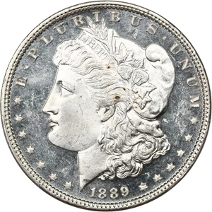 image for: 1889 $1 PCGS MS64 DMPL