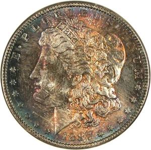 image for: 1887 $1 NGC MS65 *Color*
