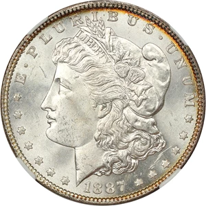 image for: 1887 $1 NGC MS64 (Top 100, VAM-12, DDO, Gator Eye)