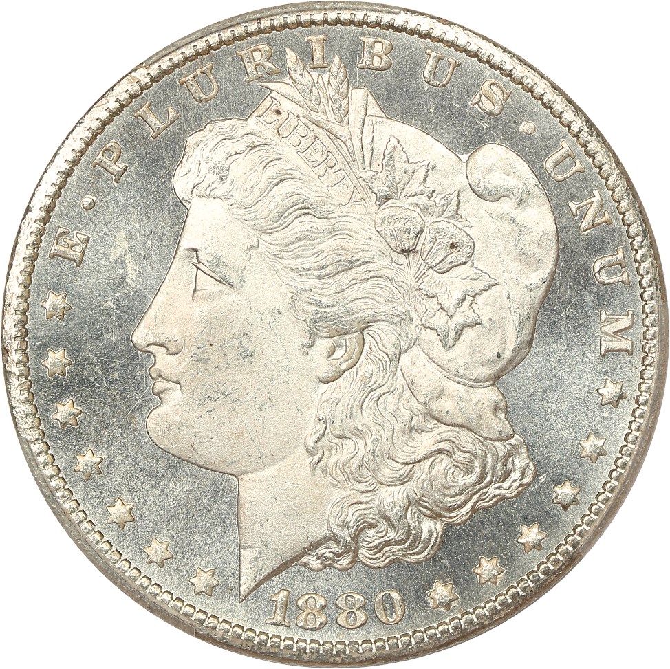 image for: 1880-CC $1 PCGS MS64 PL (VAM-6, 8/Low 7)