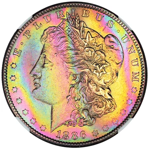 image for: 1886 $1 NGC UNC Details (Artificial Toning)