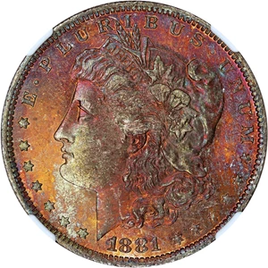 image for: 1881-O $1 NGC UNC Details (Artificial Toning)