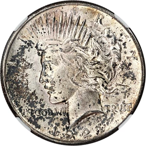 image for: 1921 Peace $1 NGC MS63 (High Relief)