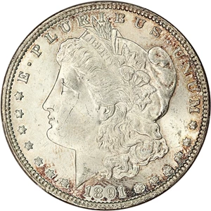 image for: 1891 $1 PCGS MS64