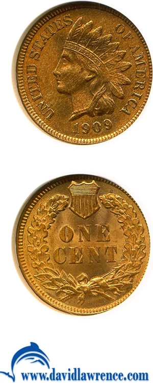 image for: 1909 1c Indian NGC MS66 RB