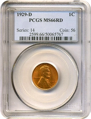 image for: 1929-D 1c PCGS MS66 RD