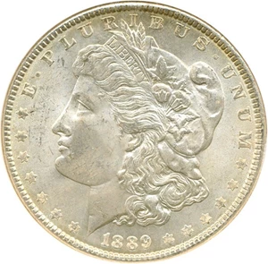 image for: 1889 $1 NGC MS64