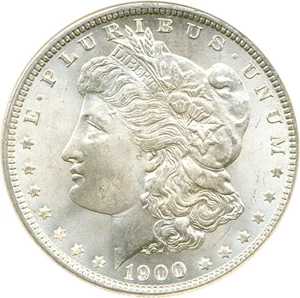 image for: 1900 $1 NGC MS66