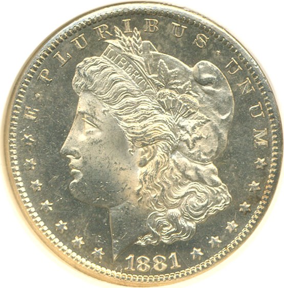 image for: 1881-S $1  NGC MS64 DMPL