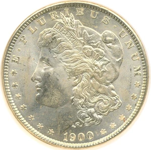 image for: 1900 $1 NGC MS65