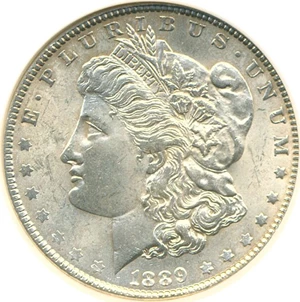 image for: 1889 $1 NGC MS63