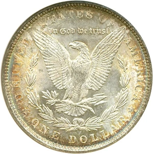 image for: Hot 50 VAM: 1889 $1 VAM 21 Doubled Ear ANACS MS64
