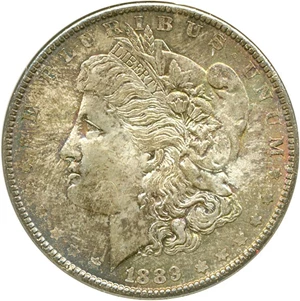 image for: Hot 50 VAM: 1889 $1 VAM 21 Doubled Ear ANACS MS64