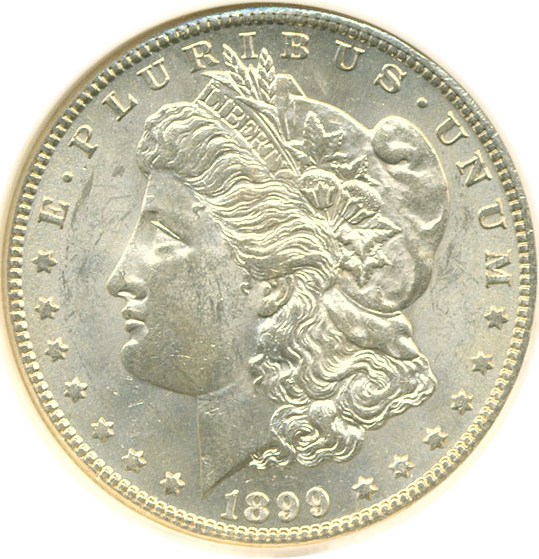 image for: Top 100 VAM: 1899-S $1 VAM 7  Doubled Date NGC MS61 