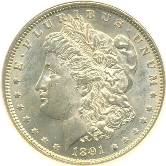 image for: Top 100 VAM: 1891 $1 VAM 2  Doubled Ear NGC MS61