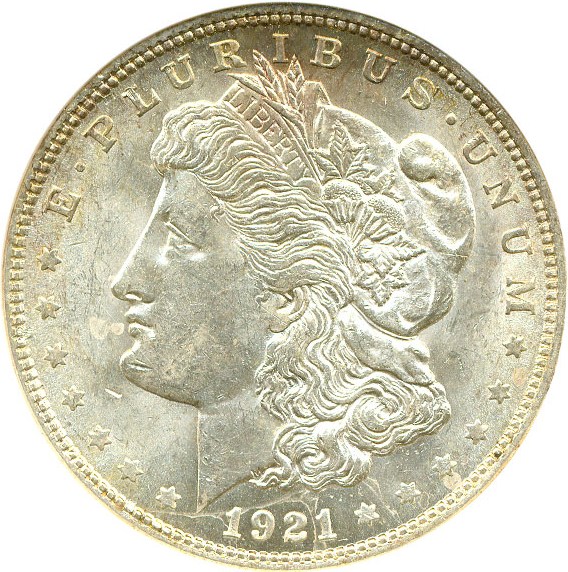 image for: Top 100 VAM: 1921 $1 Morgan VAM 1A ANACS MS61 