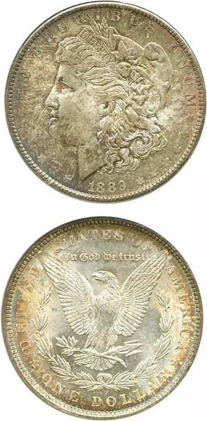 image for: Hot 50 VAM: 1889 $1 VAM 21 Doubled Ear ANACS MS64