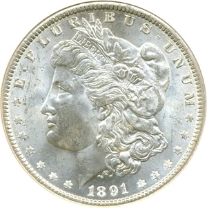 image for: 1891 $1 NGC MS64