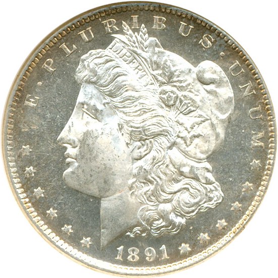 image for: 1891-S $1  NGC MS64 DMPL