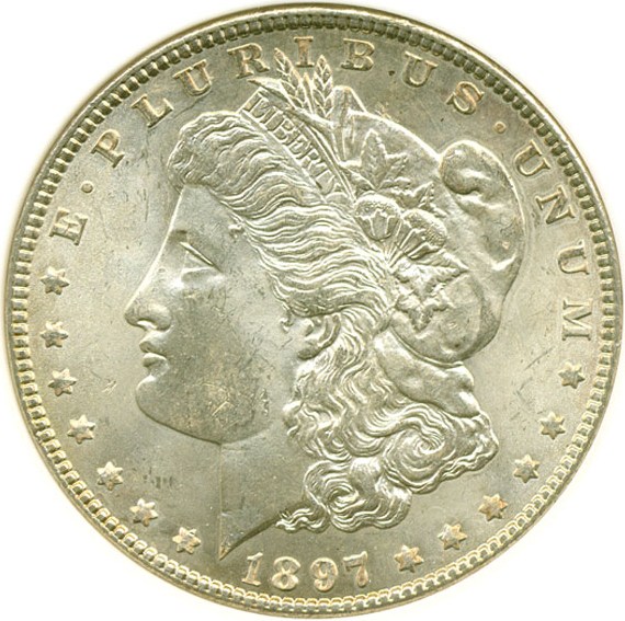 image for: Hot 50 VAM: 1897 $1 doubled Stars ANACS MS64 (VAM 8)