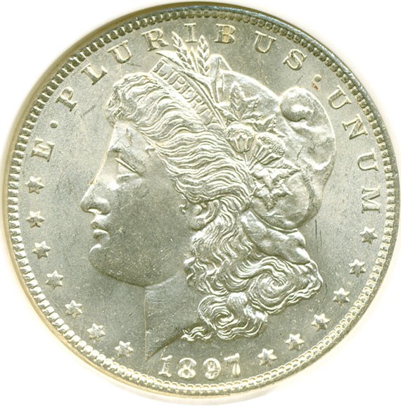 image for: Top 100 VAM: 1897 $1 Pitted Reverse NGC MS64 (VAM 6A)