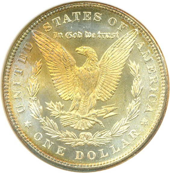image for: 1884 $1  NGC MS65 PL