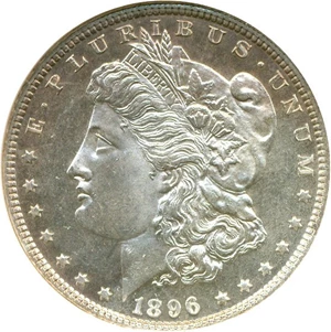 image for: 1896 $1 NGC MS64 DMPL